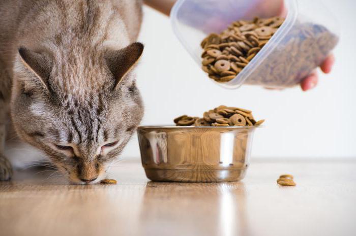 Acana - ruoka kissoille: ansioista, epäkohdista ja arvosteluista