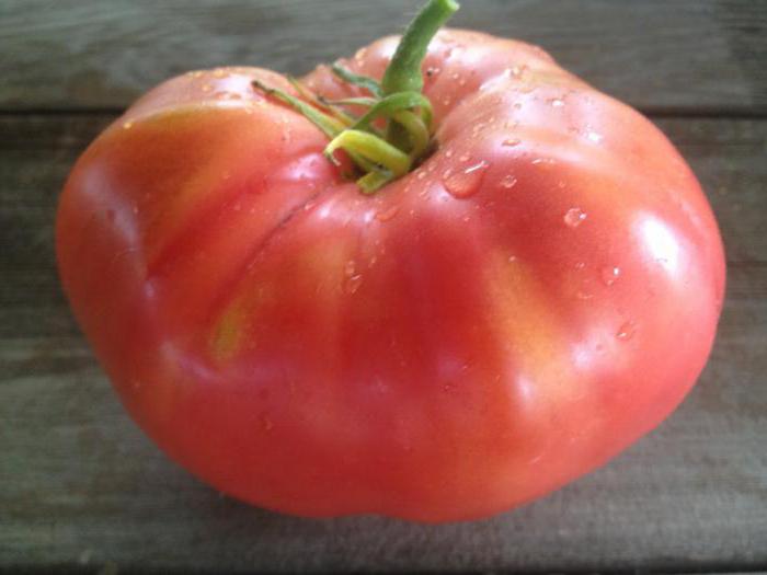 Tomaatti lajike "vaaleanpunainen hunaja", kuvaus
