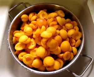 Mitä valmisteita aprikooseista talvella voidaan valmistaa