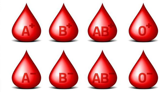 Säännöt verityypin määrittämiseksi ABO-järjestelmän mukaisesti